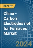 China - Carbon Electrodes not for Furnaces - Market Analysis, forecast, Size, Trends and Insights- Product Image