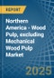 Northern America - Wood Pulp, excluding Mechanical Wood Pulp - Market Analysis, Forecast, Size, Trends and Insights - Product Image