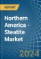 Northern America - Steatite - Market Analysis, Forecast, Size, Trends and Insights - Product Thumbnail Image
