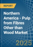 Northern America - Pulp from Fibres Other than Wood - Market Analysis, Forecast, Size, Trends and Insights- Product Image