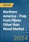 Northern America - Pulp from Fibres Other than Wood - Market Analysis, Forecast, Size, Trends and Insights - Product Image