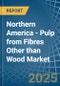 Northern America - Pulp from Fibres Other than Wood - Market Analysis, Forecast, Size, Trends and Insights - Product Image