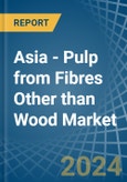 Asia - Pulp from Fibres Other than Wood - Market Analysis, Forecast, Size, Trends and Insights- Product Image