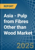 Asia - Pulp from Fibres Other than Wood - Market Analysis, Forecast, Size, Trends and Insights- Product Image