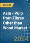 Asia - Pulp from Fibres Other than Wood - Market Analysis, Forecast, Size, Trends and Insights - Product Image