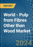 World - Pulp from Fibres Other than Wood - Market Analysis, Forecast, Size, Trends and Insights- Product Image
