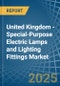 United Kingdom - Special-Purpose Electric Lamps and Lighting Fittings - Market Analysis, Forecast, Size, Trends and Insights - Product Image