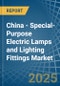 China - Special-Purpose Electric Lamps and Lighting Fittings - Market Analysis, Forecast, Size, Trends and Insights - Product Thumbnail Image