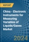 China - Electronic Instruments for Measuring Variables of Liquids/Gases - Market Analysis, forecast, Size, Trends and Insights - Product Image
