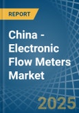 China - Electronic Flow Meters - Market Analysis, Forecast, Size, Trends and Insights- Product Image