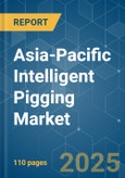 Asia-Pacific Intelligent Pigging Market - Growth, Trends, and Forecasts (2023-2028)- Product Image