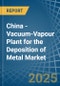 China - Vacuum-Vapour Plant for the Deposition of Metal - Market Analysis, forecast, Size, Trends and Insights - Product Thumbnail Image