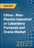 China - Non-Electric Industrial or Laboratory Furnaces and Ovens - Market Analysis, Forecast, Size, Trends and Insights- Product Image