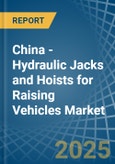 China - Hydraulic Jacks and Hoists for Raising Vehicles - Market Analysis, forecast, Size, Trends and Insights- Product Image