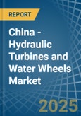 China - Hydraulic Turbines and Water Wheels - Market Analysis, Forecast, Size, Trends and Insights- Product Image