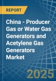 China - Producer Gas or Water Gas Generators and Acetylene Gas Generators - Market Analysis, Forecast, Size, Trends and Insights- Product Image