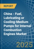 China - Fuel, Lubricating or Cooling-Medium Pumps for Internal Combustion Engines - Market Analysis, forecast, Size, Trends and Insights- Product Image