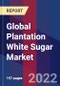 Global Plantation White Sugar Market Size, Share, Growth Analysis, By Type, By Distribution Channel - Industry Forecast 2022-2028 - Product Image