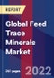 Global Feed Trace Minerals Market Size, Share, Growth Analysis, By Type, By Application - Industry Forecast 2022-2028 - Product Image