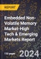 2024 Global Forecast for Embedded Non-Volatile Memory (Envm) Market (2025-2030 Outlook)-High Tech & Emerging Markets Report - Product Image