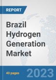 Brazil Hydrogen Generation Market: Prospects, Trends Analysis, Market Size and Forecasts up to 2030- Product Image