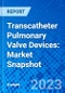 Transcatheter Pulmonary Valve Devices: Market Snapshot - Product Thumbnail Image