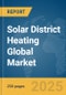 Solar District Heating Global Market Report 2024 - Product Image