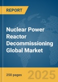 Nuclear Power Reactor Decommissioning Global Market Report 2025- Product Image
