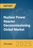 Nuclear Power Reactor Decommissioning Global Market Report 2024- Product Image