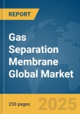 Gas Separation Membrane Global Market Report 2024- Product Image