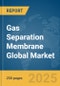 Gas Separation Membrane Global Market Report 2025 - Product Thumbnail Image