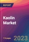 Kaolin Market Size, Market Share, Application Analysis, Regional Outlook, Growth Trends, Key Players, Competitive Strategies and Forecasts, 2023 to 2031 - Product Thumbnail Image