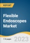 Flexible Endoscopes Market Size, Share & Trends Analysis Report By Type (Laparoscopes, Arthroscopes, Ureteroscopes, Cystoscopes), By End-use (Hospitals, Outpatient Facilities), By Region, And Segment Forecasts, 2023 - 2030 - Product Image