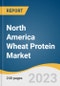 North America Wheat Protein Market Size, Share & Trends Analysis Report By Product Type (Wheat Gluten, Wheat Protein Isolates), By Application (Animal Feed, Dairy), By Concentration (75%, 80%), And Segment Forecasts, 2023 - 2030 - Product Thumbnail Image