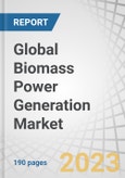 Global Biomass Power Generation Market by Technology (Combustion, Gasification, Anaerobic Digestion, Pyrolysis), Feedstock (Agricultural Waste, Forest Waste, Animal Waste, Municipal Waste), Fuel (Solid, Liquid, Gaseous) and Region - Forecast to 2028- Product Image