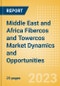 Middle East and Africa (MEA) Fibercos and Towercos Market Dynamics and Opportunities - Product Image