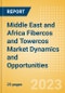 Middle East and Africa (MEA) Fibercos and Towercos Market Dynamics and Opportunities - Product Thumbnail Image