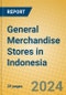 General Merchandise Stores in Indonesia - Product Image