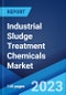 Industrial Sludge Treatment Chemicals Market by Sludge Type, Process Chemical, Process Treatment, End User, and Region 2023-2028 - Product Image