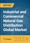 Industrial and Commercial Natural Gas Distribution Global Market Report 2024 - Product Thumbnail Image