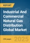 Industrial And Commercial Natural Gas Distribution Global Market Report 2025 - Product Thumbnail Image