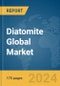 Diatomite Global Market Report 2023 - Product Thumbnail Image