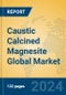 Caustic Calcined Magnesite Global Market Insights 2024, Analysis and Forecast to 2029, by Manufacturers, Regions, Technology - Product Thumbnail Image