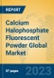 Calcium Halophosphate Fluorescent Powder Global Market Insights 2023, Analysis and Forecast to 2028, by Manufacturers, Regions, Technology, Application, Product Type - Product Thumbnail Image