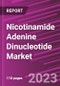 Nicotinamide Adenine Dinucleotide Market Share, Size, Trends, Industry Analysis Report, By Grade , By Application, By Region, Segment Forecast, 2023- 2032 - Product Image