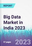 Big Data Market in India 2023- Product Image
