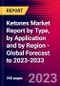 Ketones Market Report by Type, by Application and by Region - Global Forecast to 2023-2033 - Product Thumbnail Image