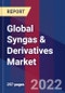 Global Syngas & Derivatives Market Size, Share, Growth Analysis, By Feedstock, By Technology, By End User - Industry Forecast 2022-2028 - Product Image