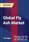 Global Fly Ash Market Size, Share, Growth Analysis, By Type, By Application - Industry Forecast 2022-2028 - Product Image