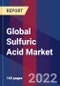 Global Sulfuric Acid Market Size, Share, Growth Analysis, By Raw Material, By Application - Industry Forecast 2022-2028 - Product Thumbnail Image